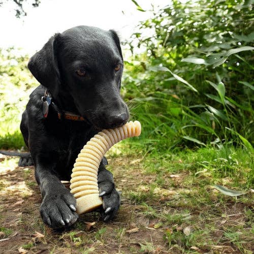 Flufflehorn eChew Ultra Durable Nylon Dog Chew - XL