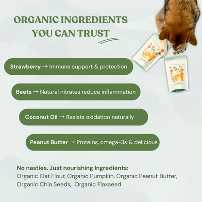 Love Bites - Organic Dog Treats, Strawberry & Peanut Butter