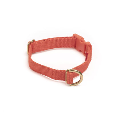 Awoo Pack Collar
