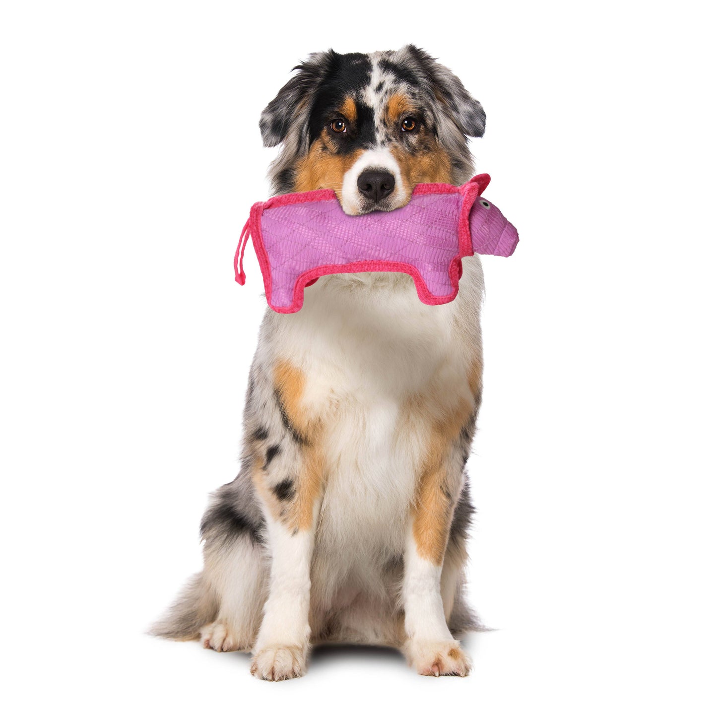 DuraForce Pinky Pig Chew Pink 4"