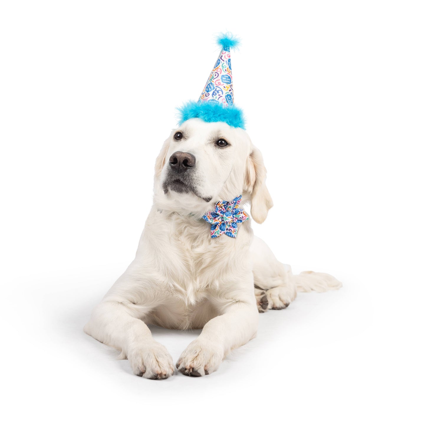 Happy Got Me Day Party Hat