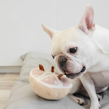 GRAPEFRUIT SNUFFLE TOY