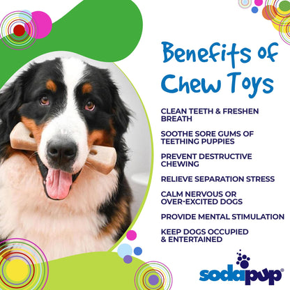 MOD Bone Ultra Durable Nylon Dog Chew