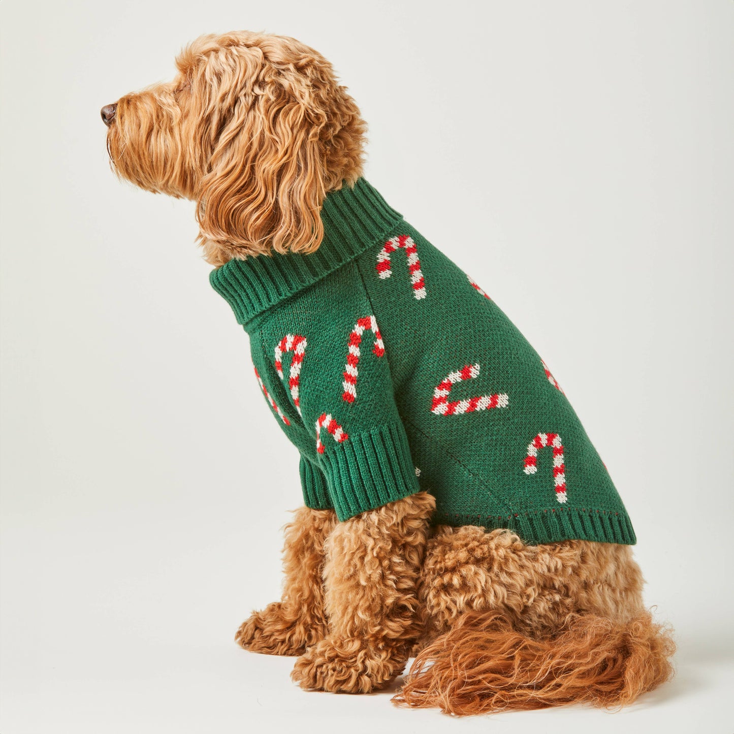 Foggy Dog Candy Canes Sweater