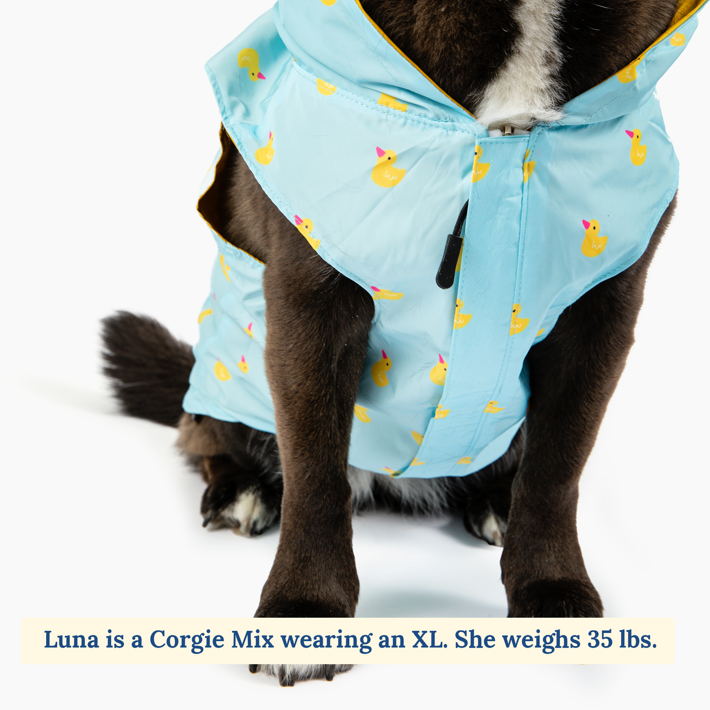 Lucky Ducky Reversible Raincoat