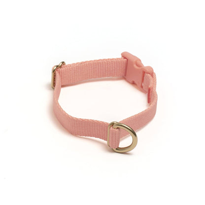 Awoo Pack Collar