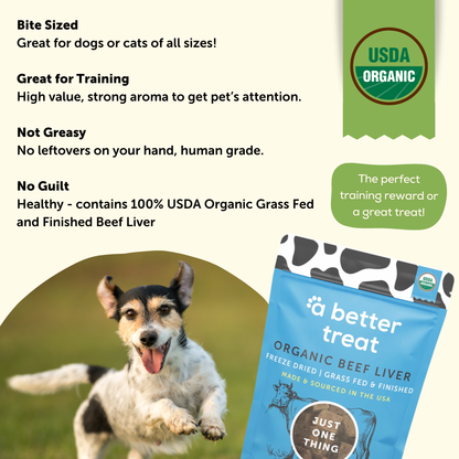 Organic Freeze Dried 100% Grass Fed Beef Dog and Cat Treats