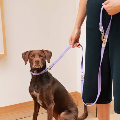 The Fritz Dog Leash | Leash wit Handle | Multi Dog Leash
