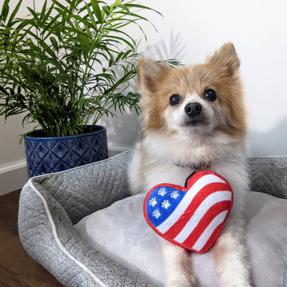 Paws & Stripes Heart Dog Toy
