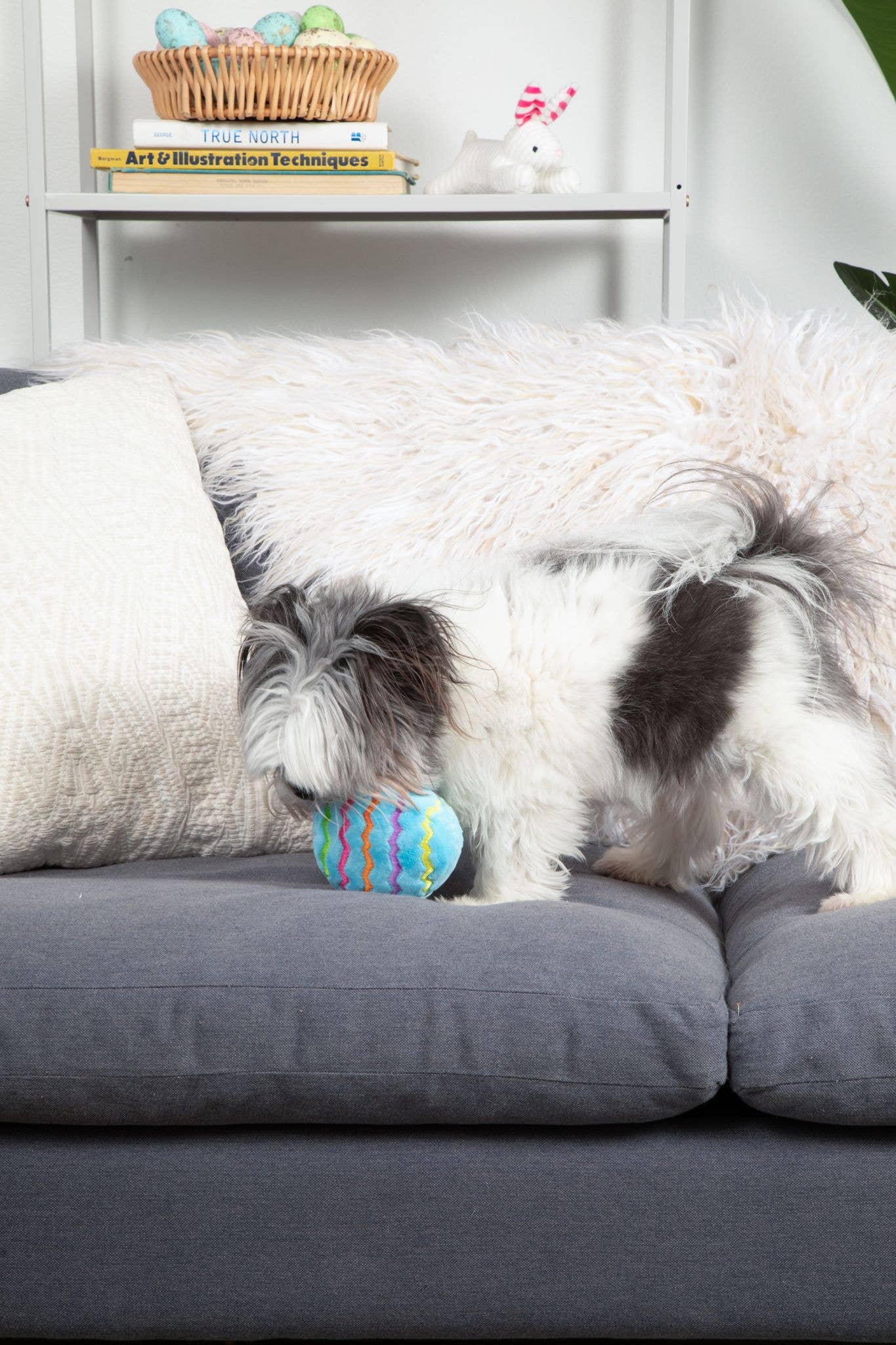 Midlee Plush Easter Egg Dog Toy - Blue