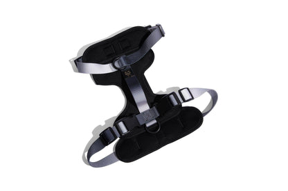 Rowan Dog Harness | Black