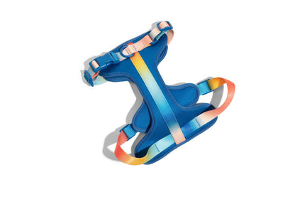 Atlas Dog Harness | Blue