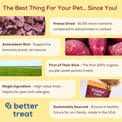 Organic Freeze Dried Purple Sweet Potato Dog and Cat Treats