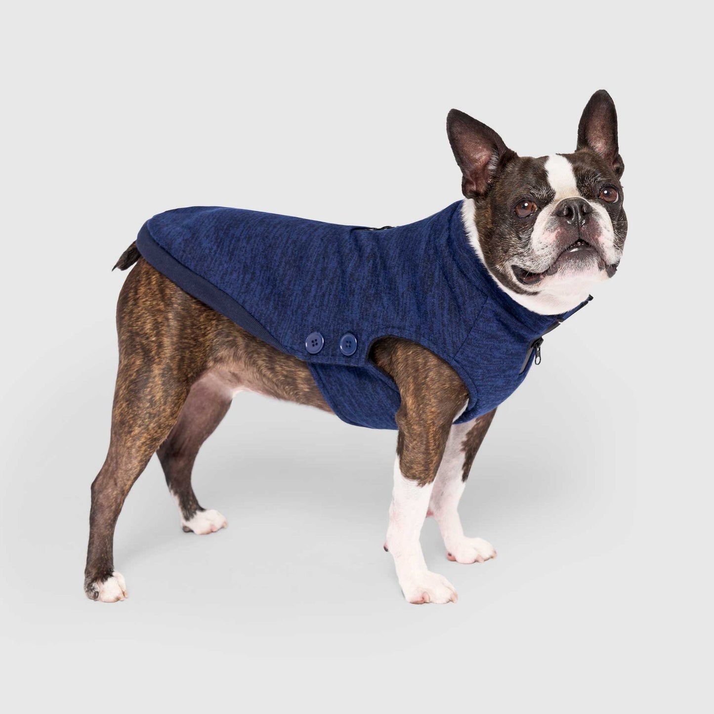 Waterproof Sweater- Dog Sweater