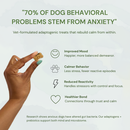 Balance + Calm Cookies - All Natural, Organic Dog Treats