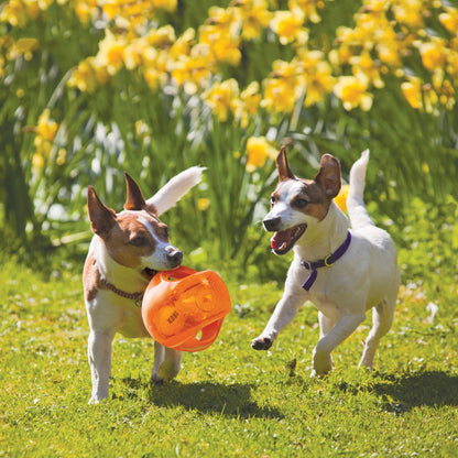 KONG® Jumbler™ Ball Toy Medium/Large