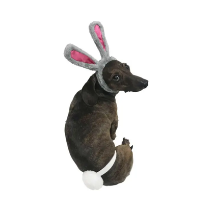 Midlee Easter Bunny Rabbit Ears with Tail