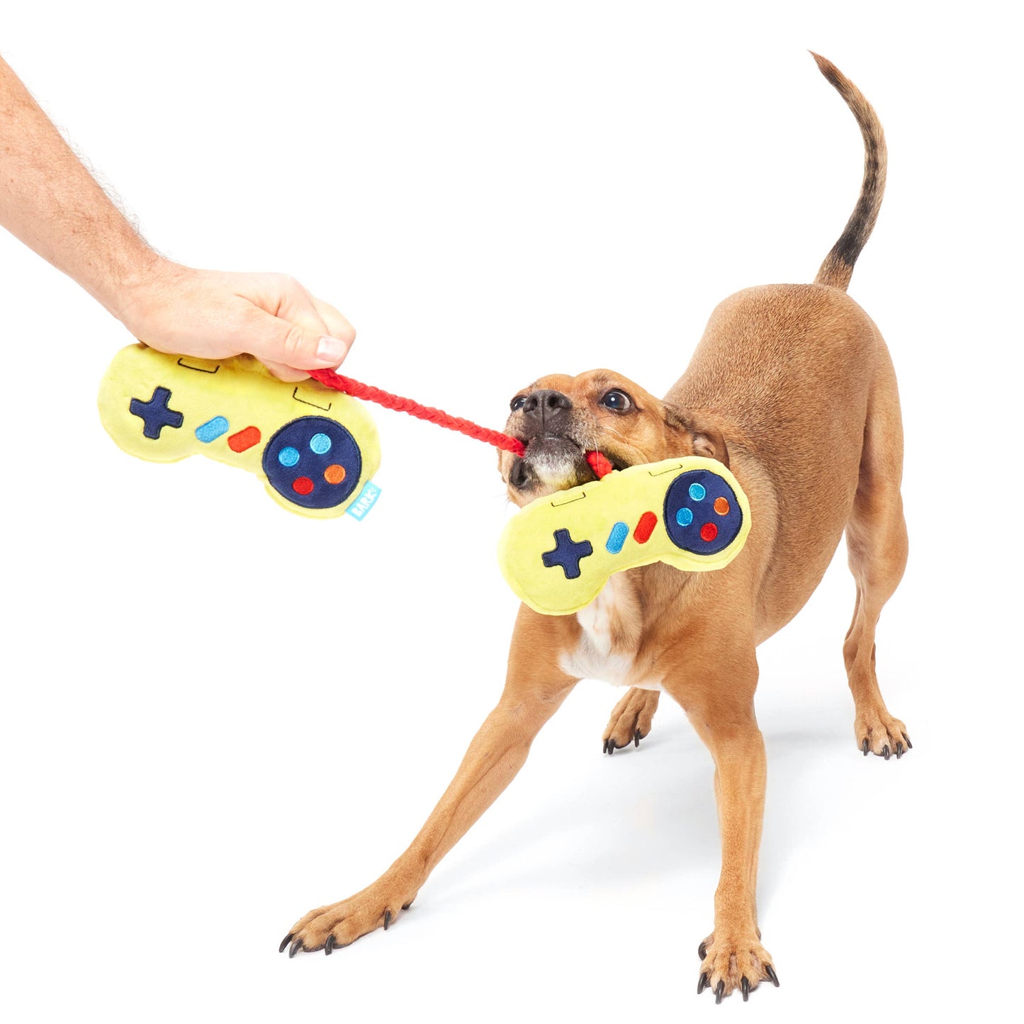 BARK Ate-Bit Tug Plush S/M