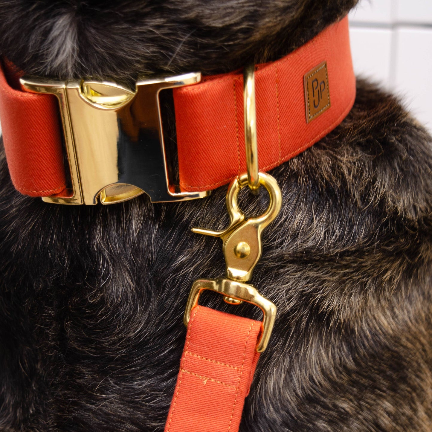 Signature Collar - Terracotta