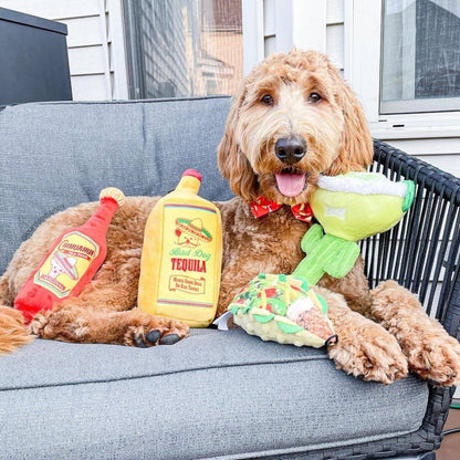 Taco Tuesday Dog Toy