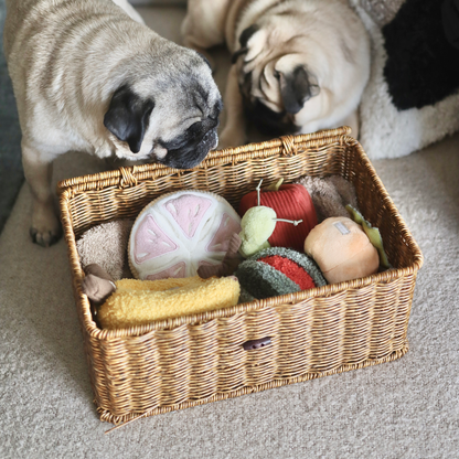 GRAPEFRUIT SNUFFLE TOY