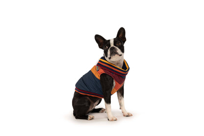 Chevron Dog Coat Navy
