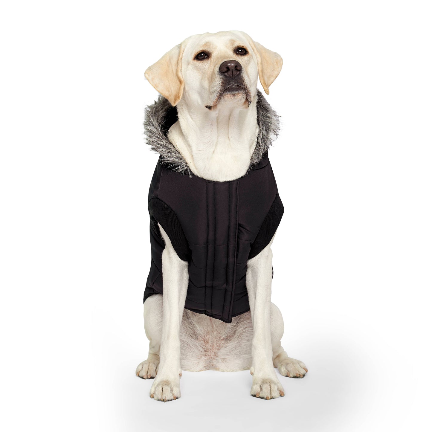 True North Dog Parka