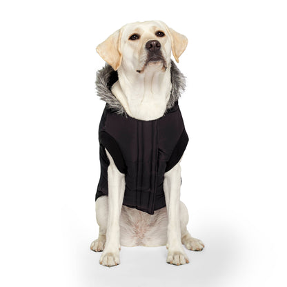 True North Dog Parka
