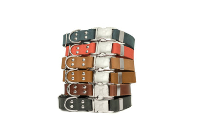 Modern Style Soft Leather Quick-Release Euro-Dog Collar