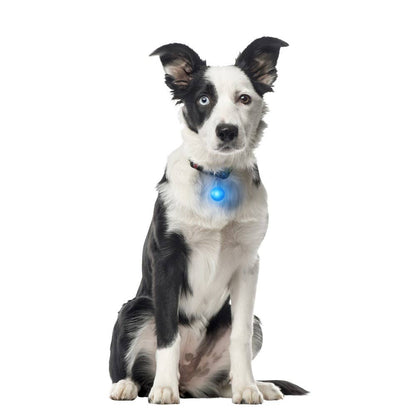 Nite Ize SpotLit Collar Light - Blue