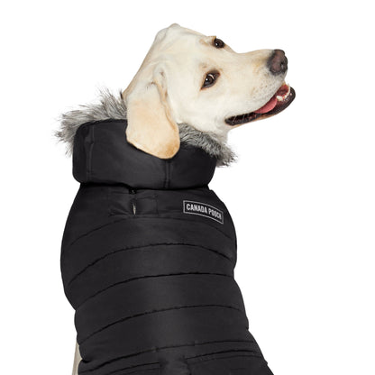 True North Dog Parka