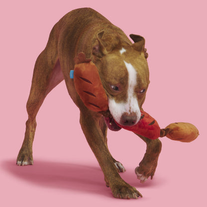 BARK Lickin' Links Plush