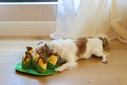 Injoya Corn Maze Snuffle Toy