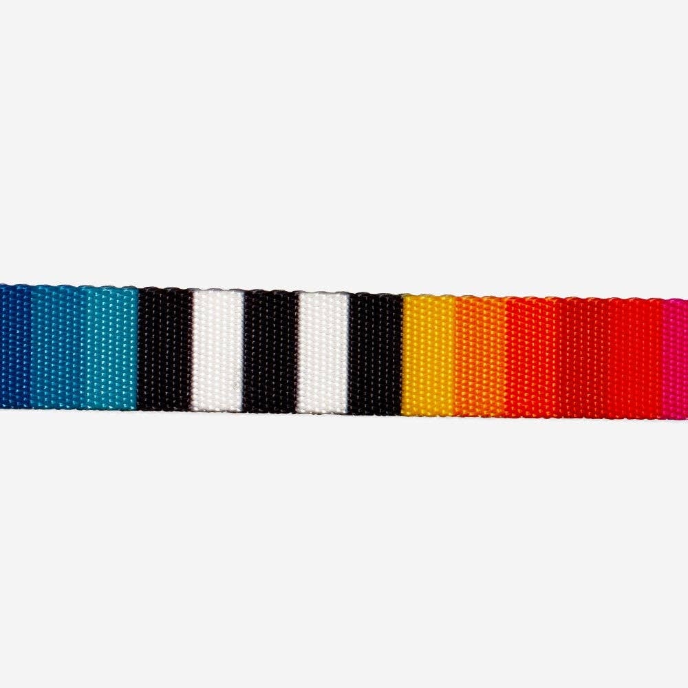 Prisma | Leash