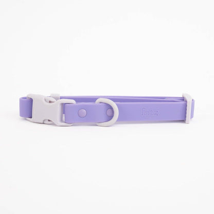 The Fritz Dog Collar 