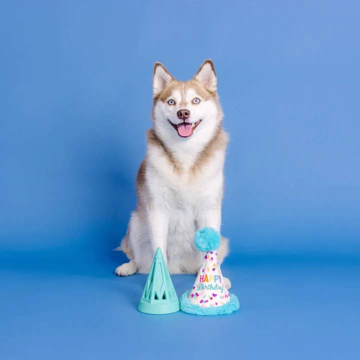 PetShop by Fringe Yappy Barkday Rubber/Plush Dog Toy