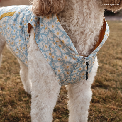 Simply Splendid Reversible Raincoat