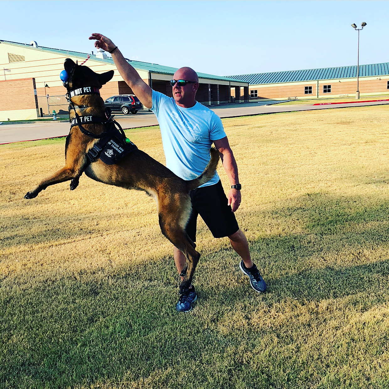 USA-K9 Cherry Bomb - Chew Toy - Reward Toy