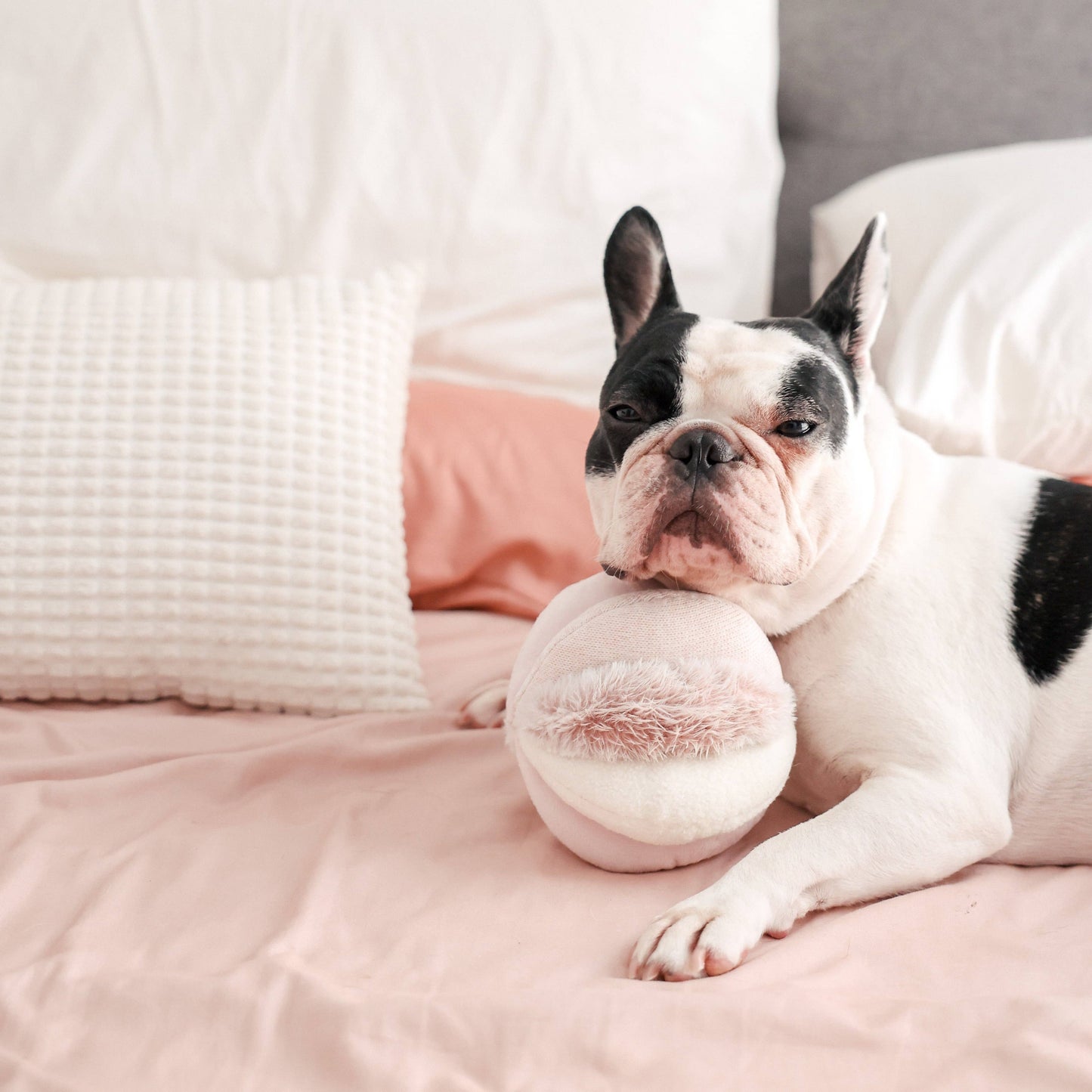 TOTO DOG TOY