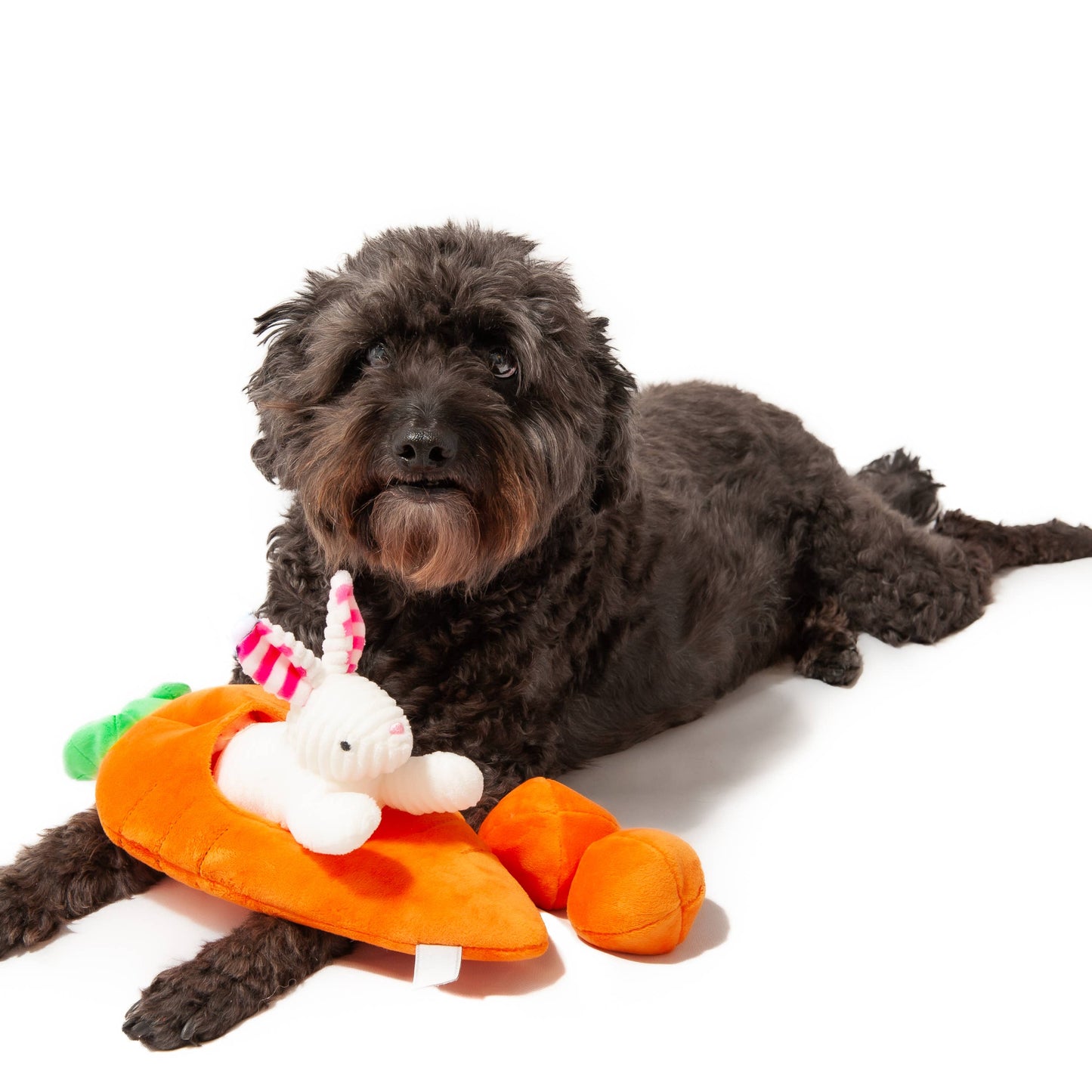 Hide a Toy Carrot with Balls & Rabbit Easter Dog Toy