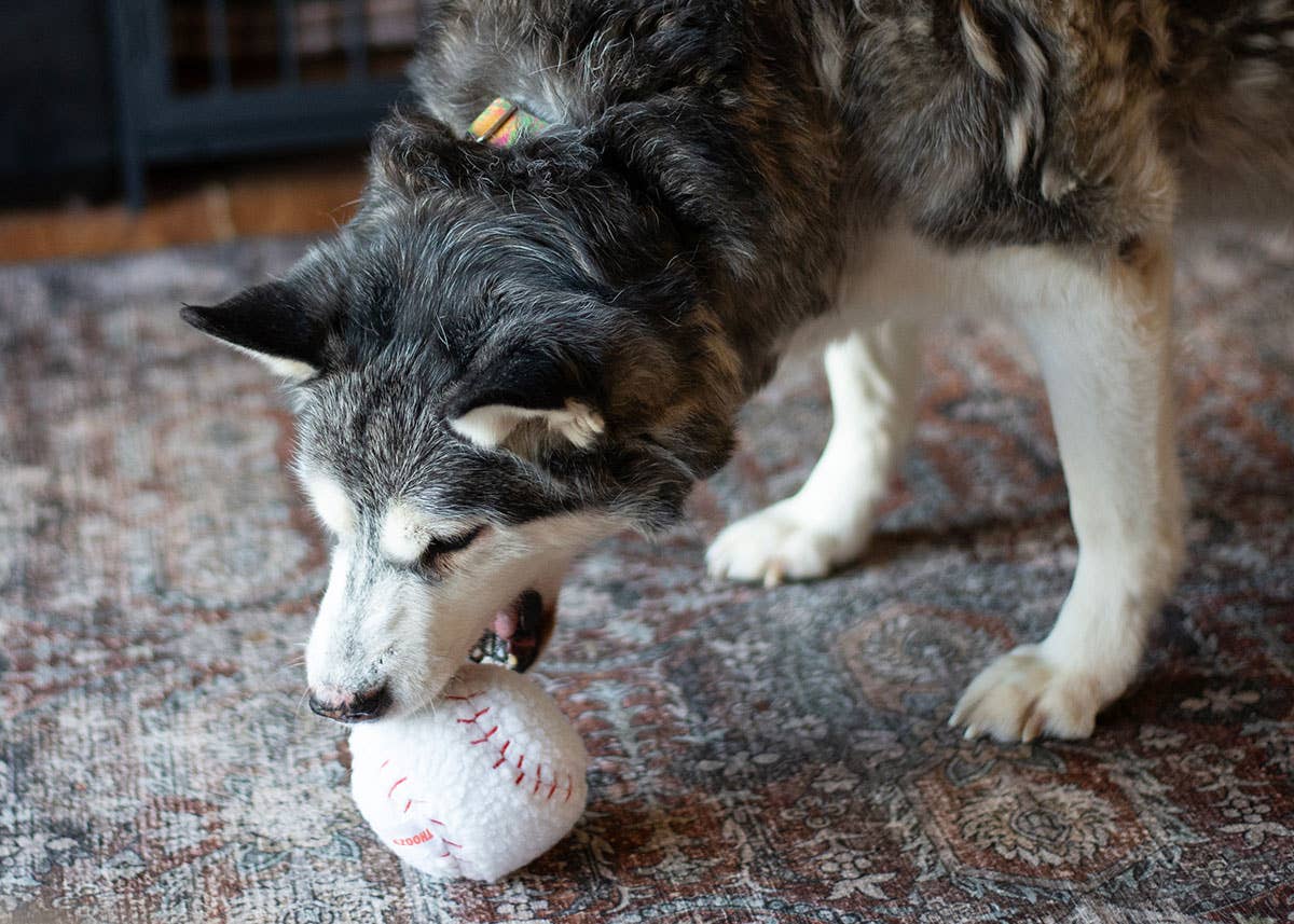ThoozyPet Baseball Toy 4"