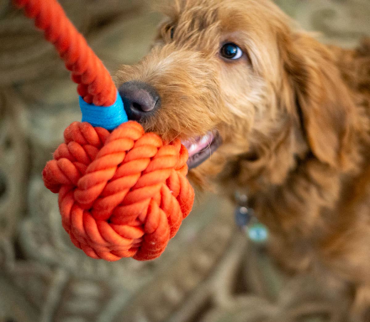 ThoozyPet Ball Tug Rope Orange 5"
