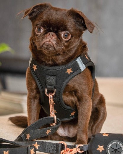 SoHo Dog Harness - Rockstar