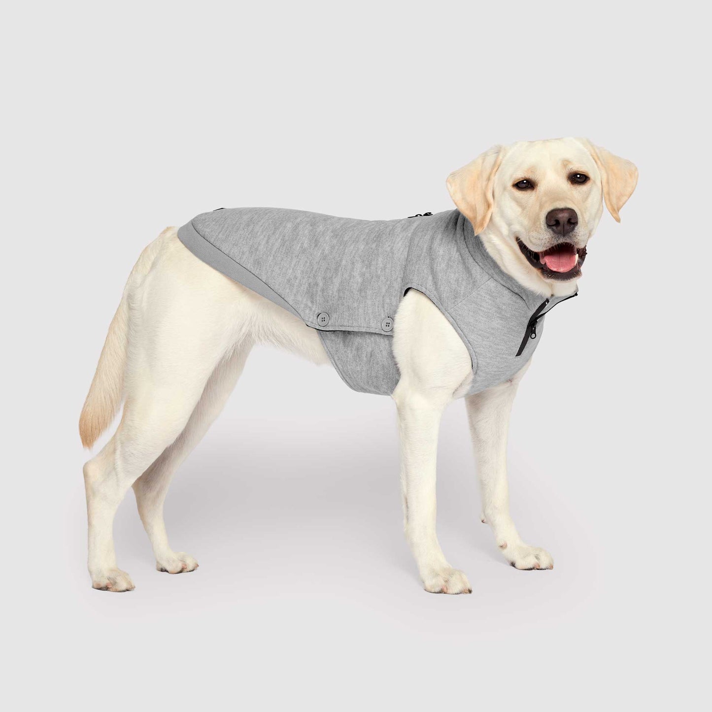 Waterproof Sweater- Dog Sweater