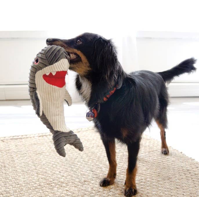 KONG® Cuteseas® Rufflez Shark M/L
