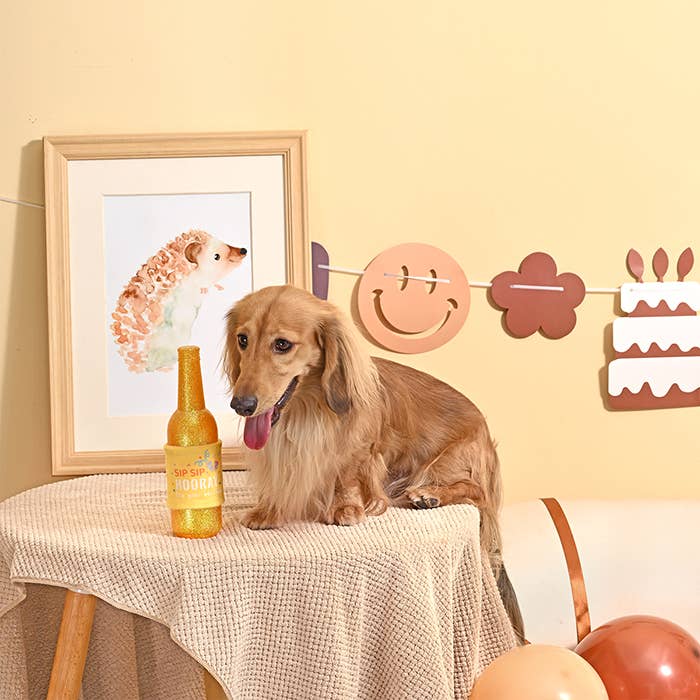 HugSmart Birthday Wine - TPR Rubber