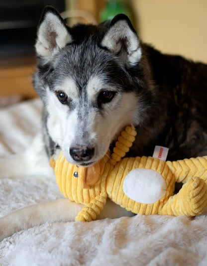 ThoozyPet Tuff & Cuddly Duck 12.5"