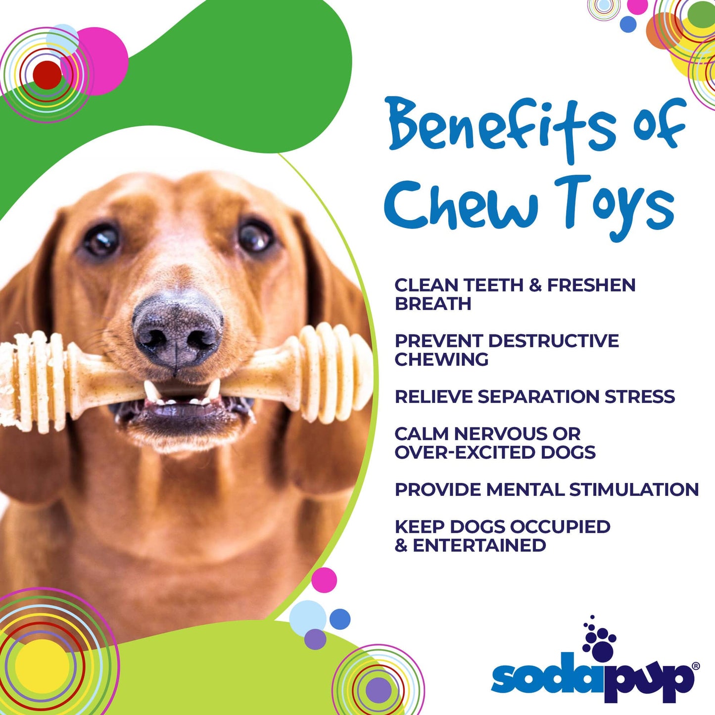 Honey Bone Nylon Chew Bone for Dogs