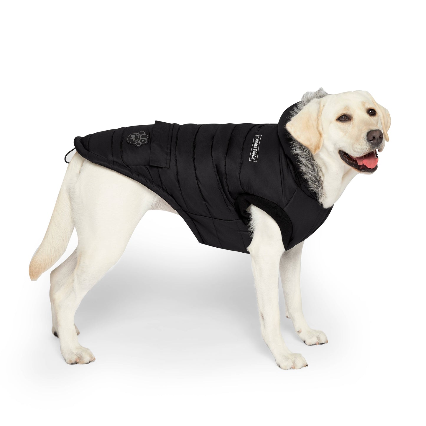 True North Dog Parka