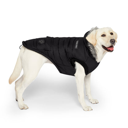True North Dog Parka